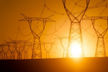 The push for a privatised power grid raises a question of life and death