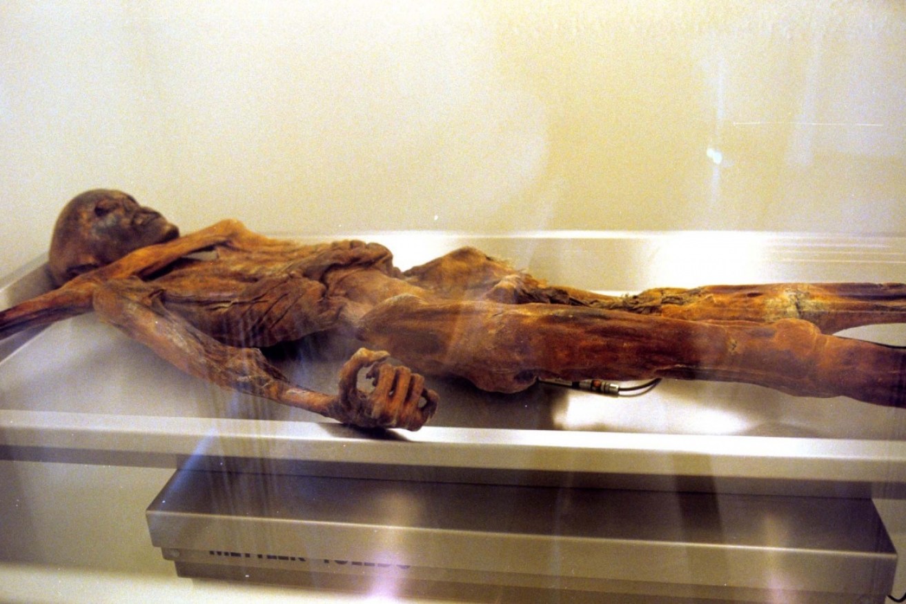 The mummy of a prehistorical hunter known as Otzi was discovered in 1991 by hikers in the Alps.