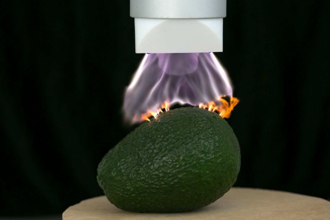A plasma flame is applied to prevent mould taking hold on food.