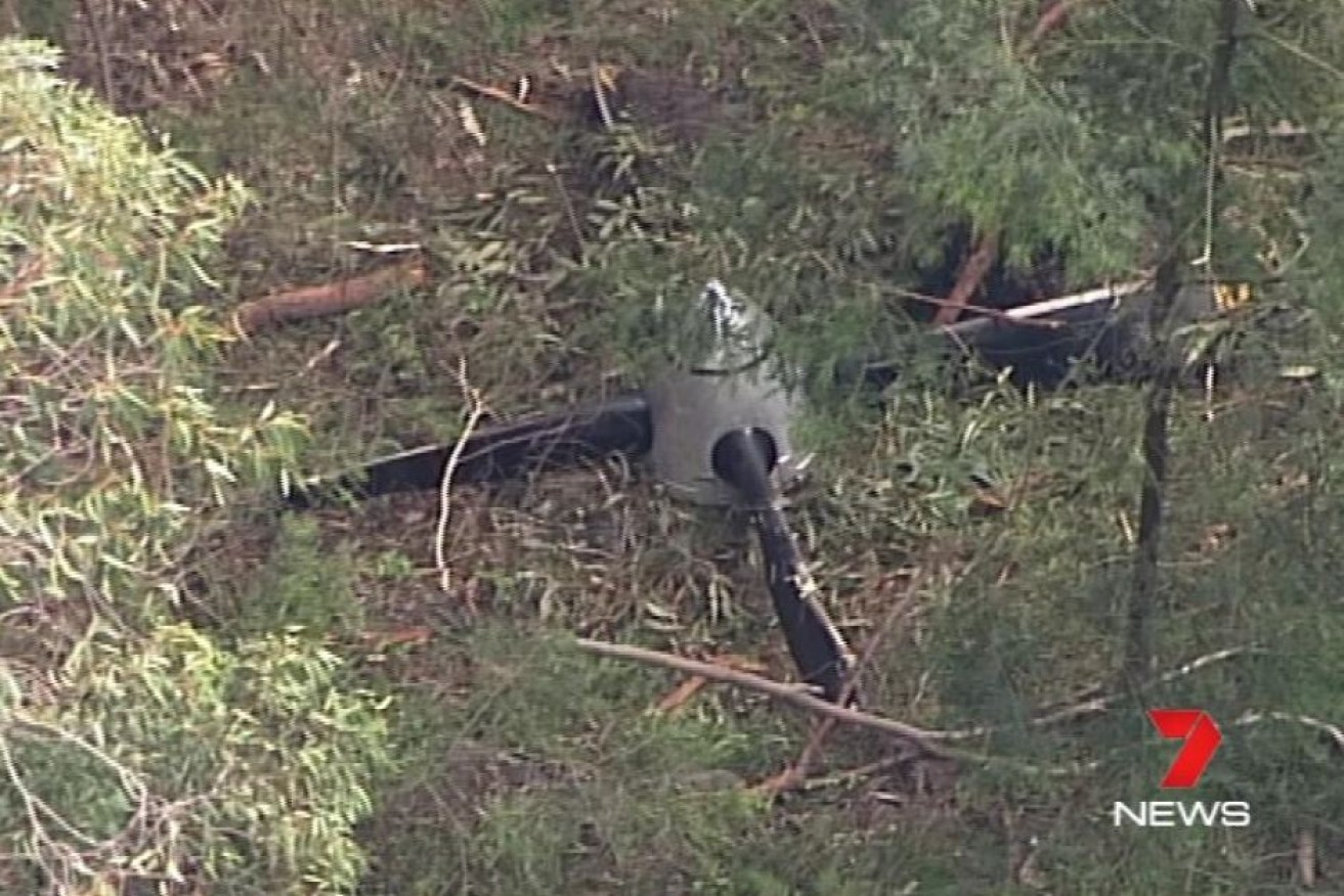 The propeller that fell off the Rex Airlines flight has been found in bushland at Revesby Heights.