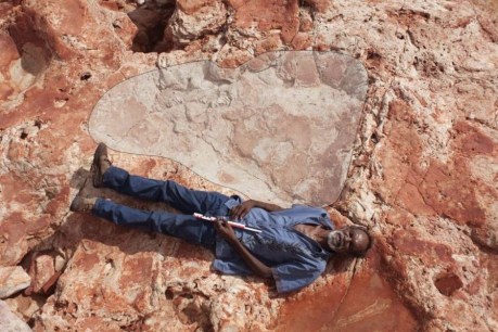 World&#8217;s biggest dinosaur footprints found in Western Australia