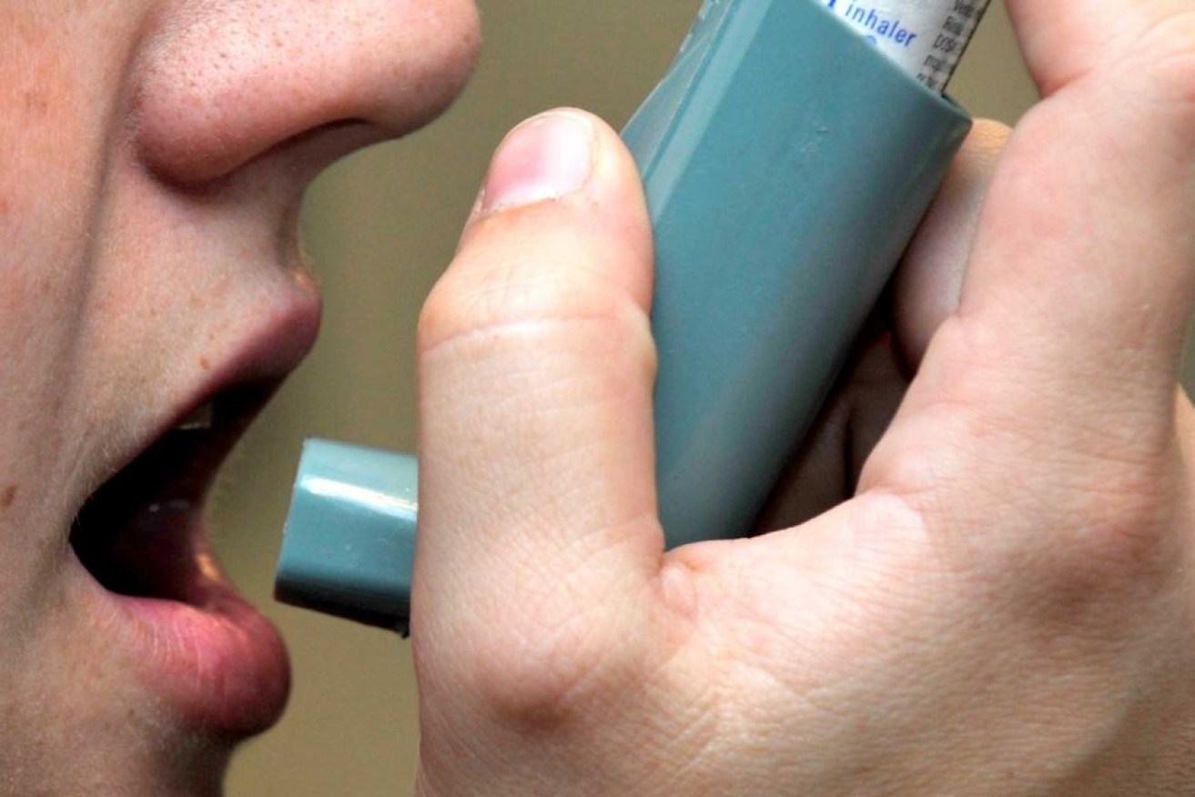 Research found fibre supplements given to humans to treat asthma had positive results.