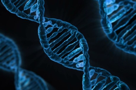 DNA repair discovery could lead to reverse ageing, cancer drugs, help space travel