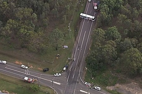 Sydney bus crash kills one, four kids injured