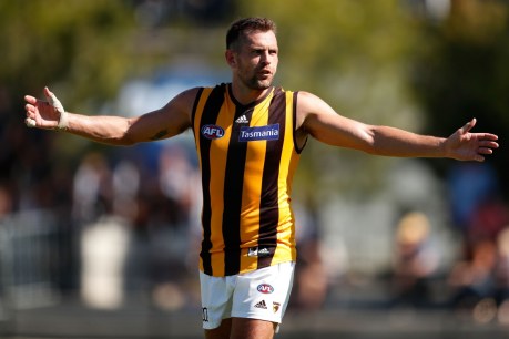 Luke Hodge &#8216;fully supports&#8217; Hawthorn&#8217;s decision to suspend him