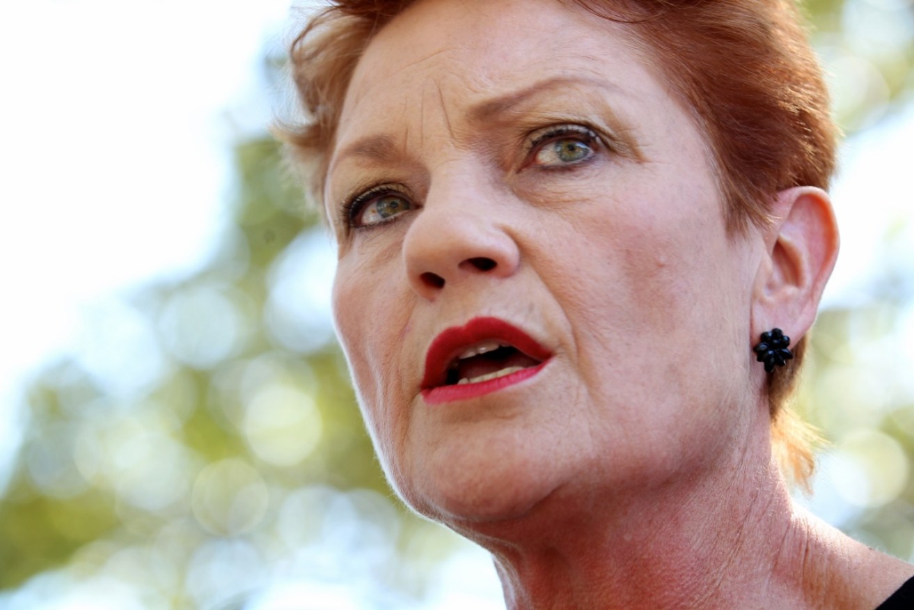 Pauline Hanson has the ability to make or break historic media reforms.