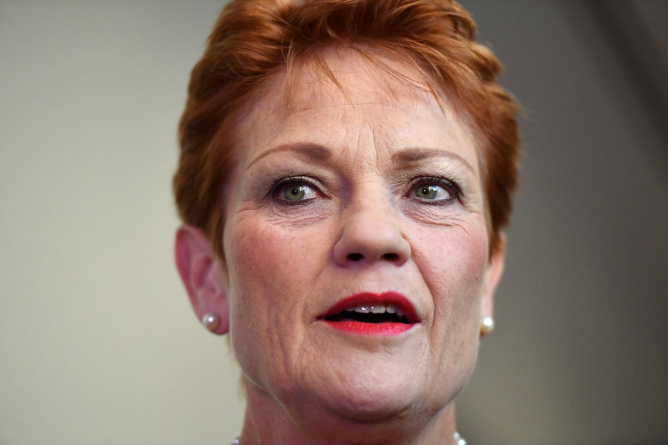One Nation leader Pauline Hanson is under pressure to reveal how party donations were spent. 