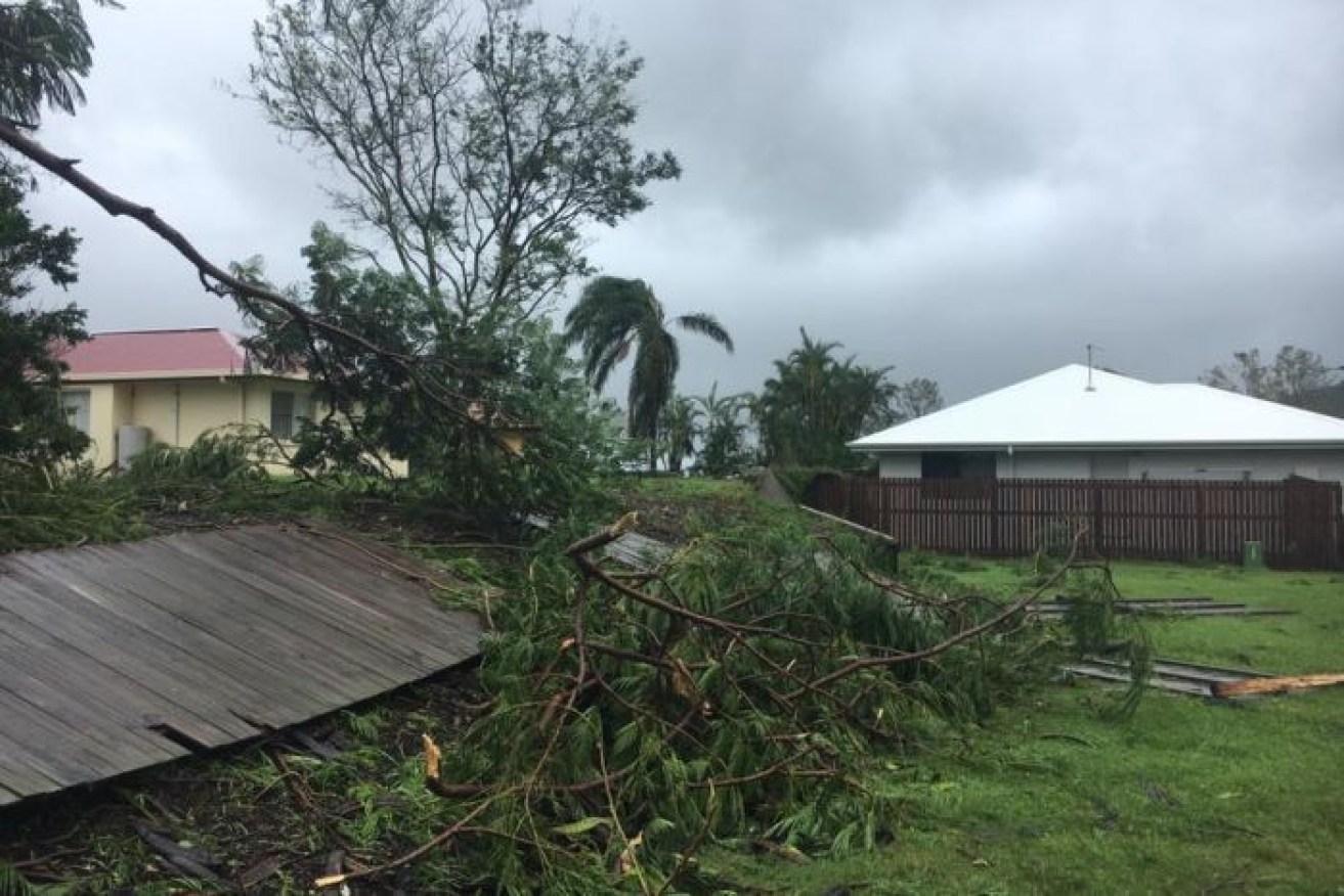 Trees lay destroyed by Cyclone Debbie in Proserpine. 