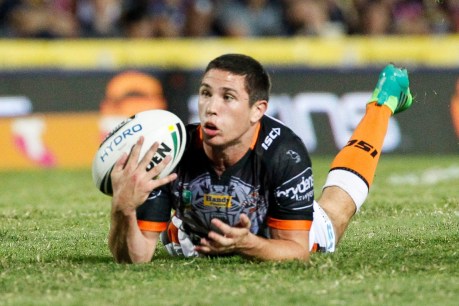 Mitchell Moses to learn NRL fate on Tuesday