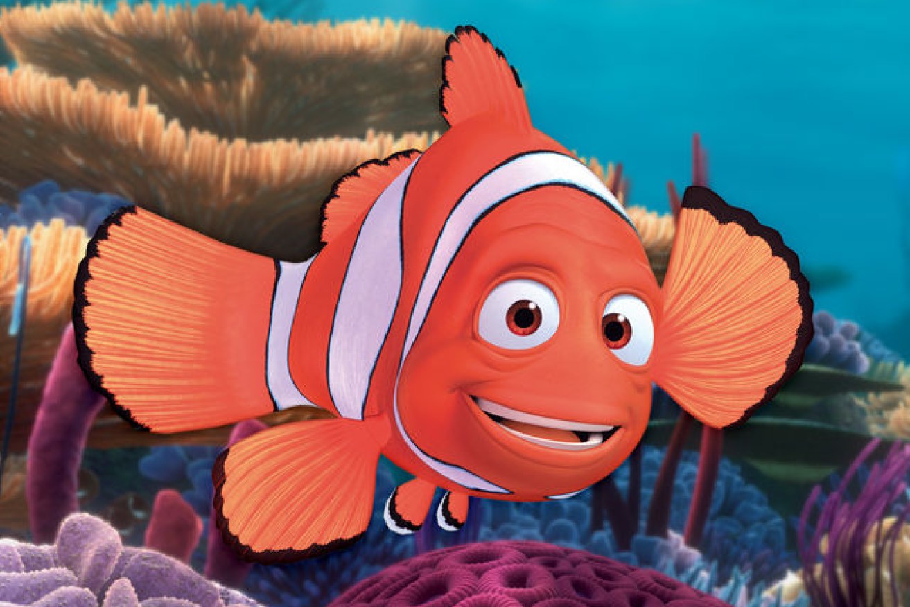 The <i>Finding Nemo</i>-style swim had an unhappy ending.