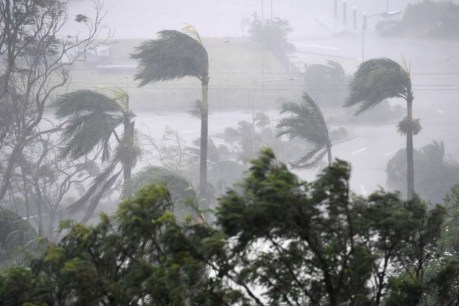 Cyclone Debbie smashes March rainfall records across Queensland