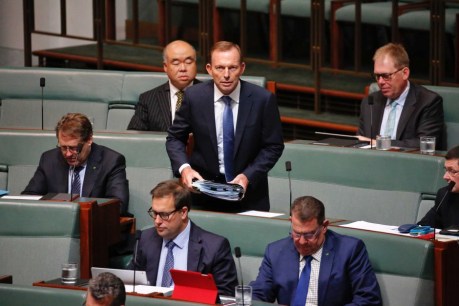 Leak of Liberal polling is &#8216;corrosive&#8217;, Tony Abbott says