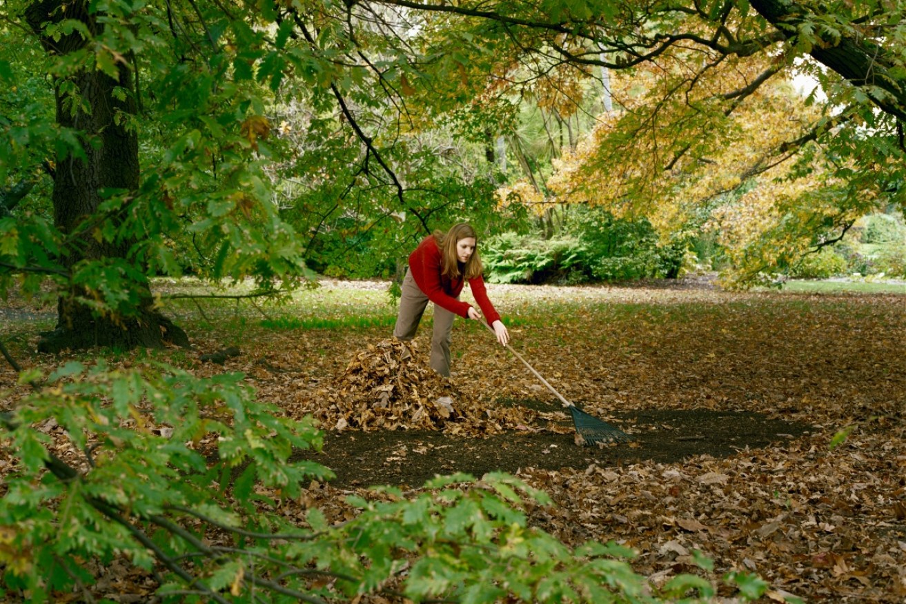Put down that rake! You have much more pressing matters to attend to this autumn.