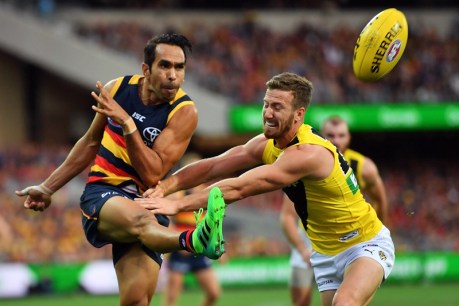Crows alone at top after Magpies end Cats&#8217; unbeaten run
