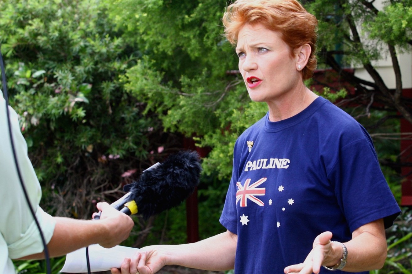 An aircraft used for One Nation party matters may get its leader Pauline Hanson in hot water. 