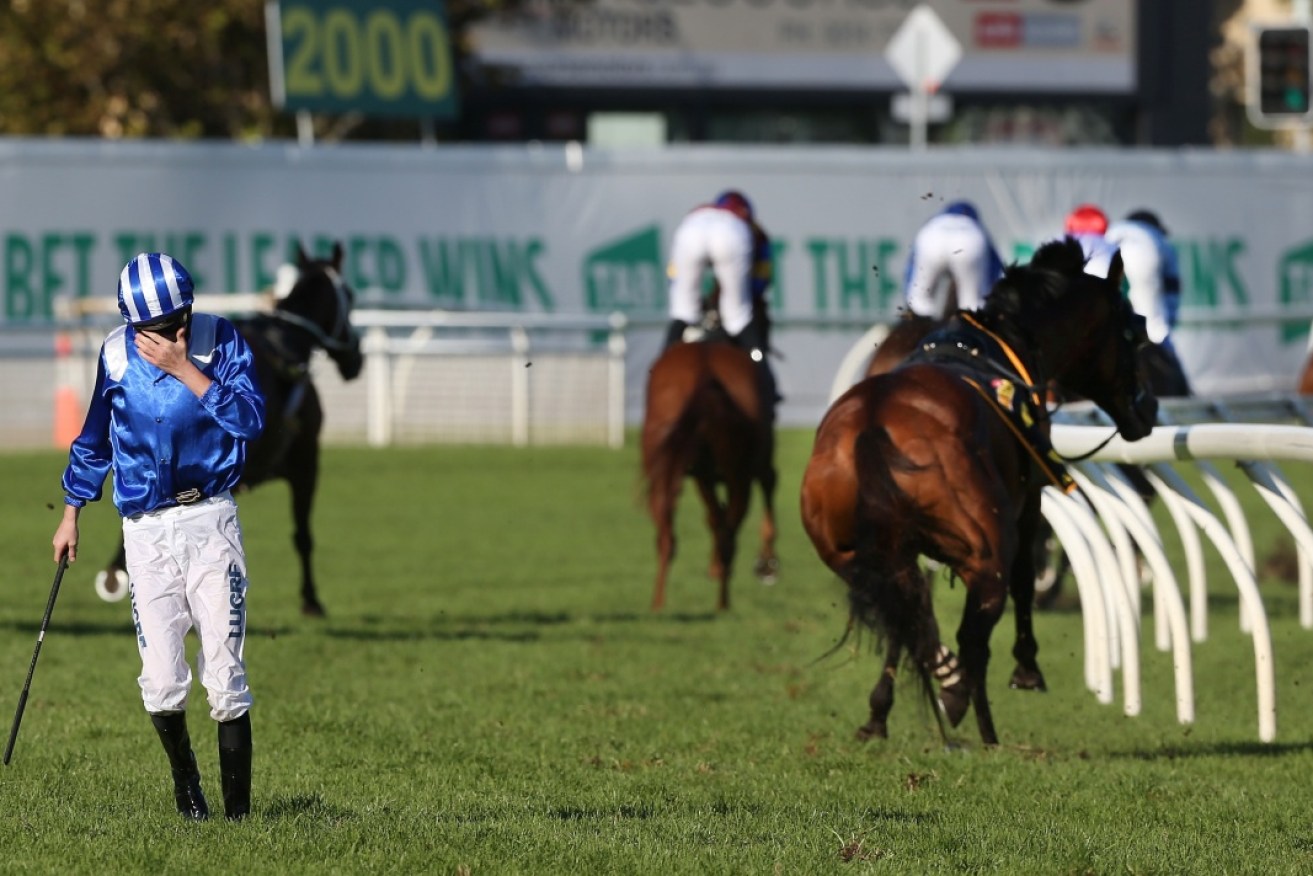 Jockey James Doyle appeared distressed and injured after Almoonqith broke its leg on the first lap.