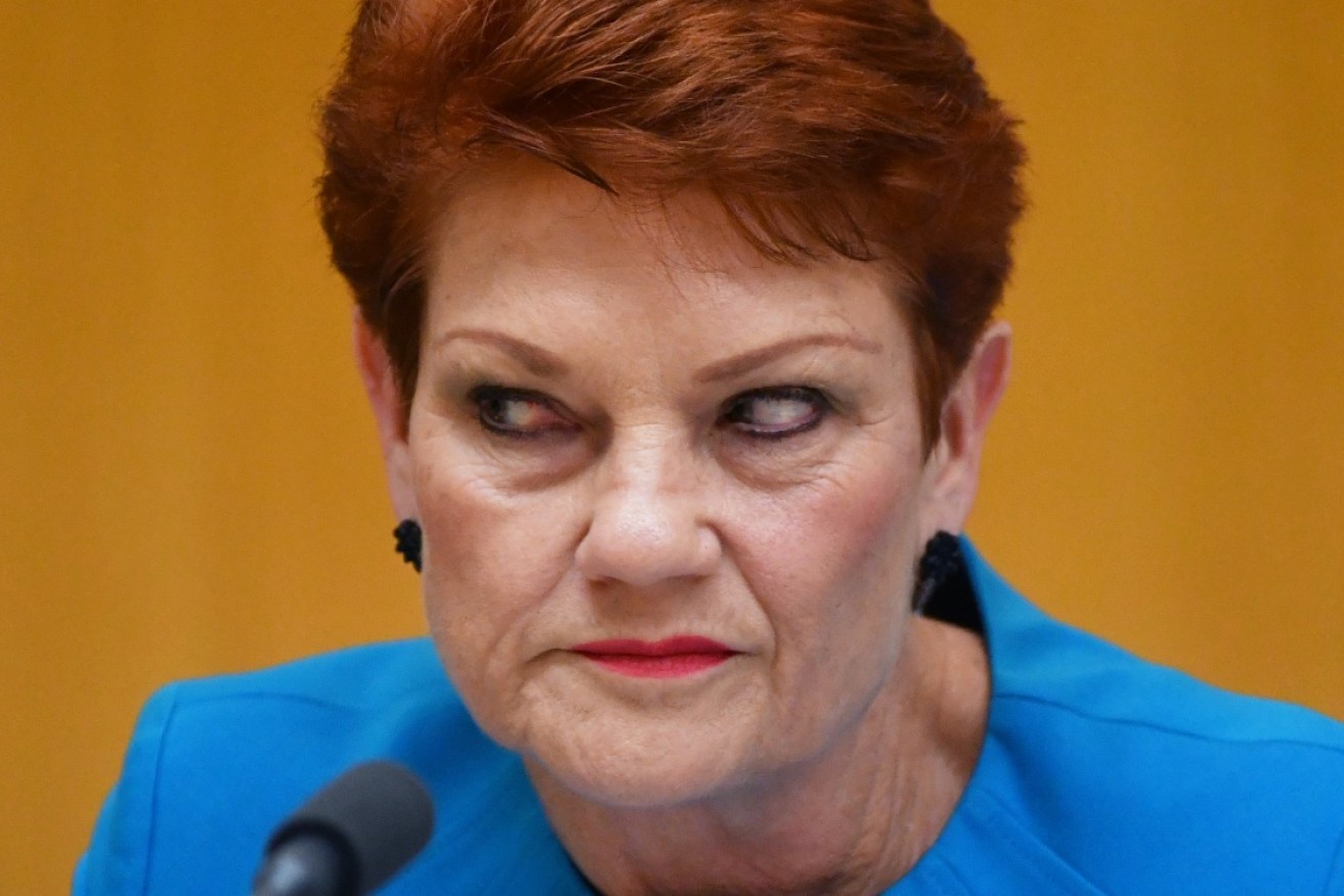 Pauline Hanson floated the idea of internment this week. 