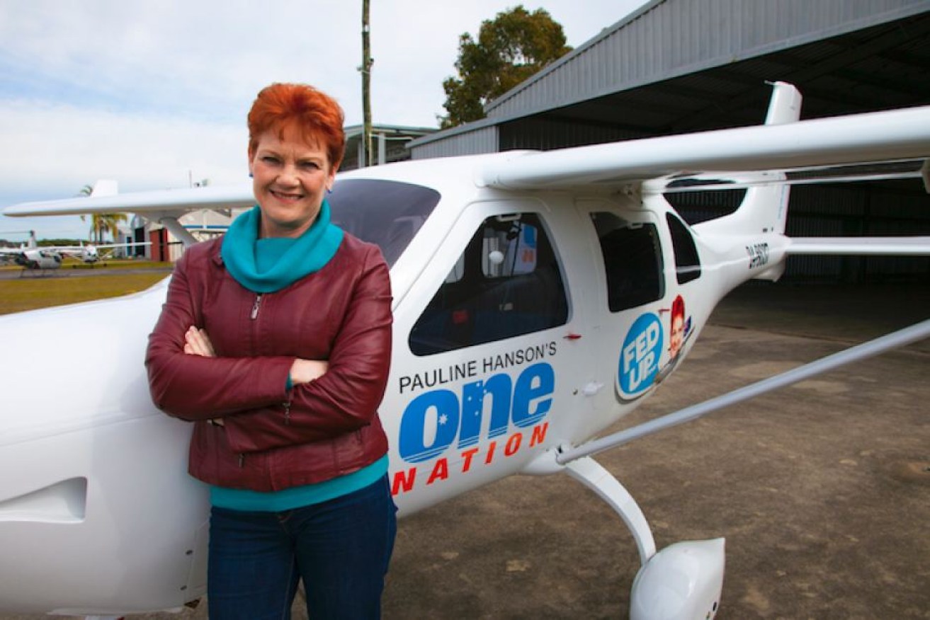 The Australian Electoral Commission has launched a formal investigation into the ownership of a plane used by One Nation.