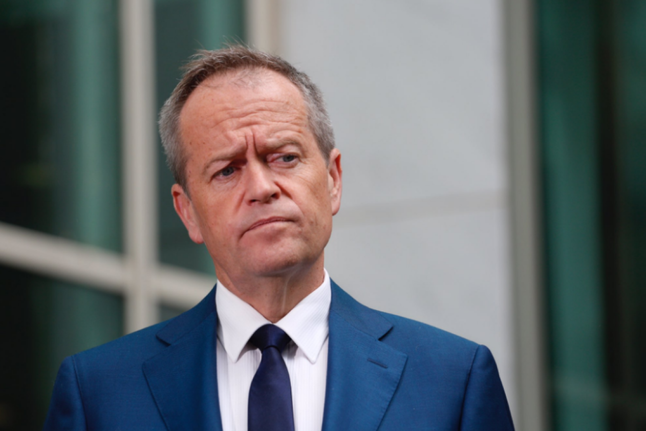 Bill Shorten has yet to form a position on the citizenship changes. Photo: ABC