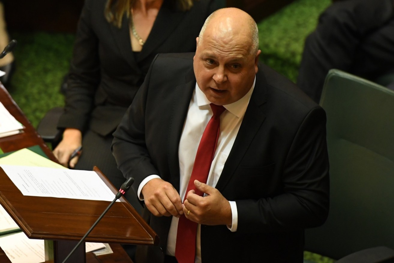 Victorian Treasurer Tim Pallas handed down the state budget on Tuesday.