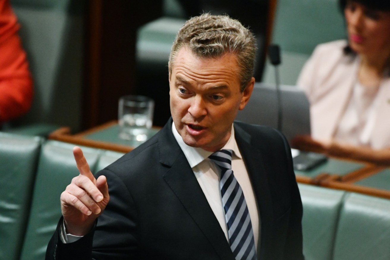 Christopher Pyne is one of the government's most prominent same sex marriage supporters. Photo: AAP