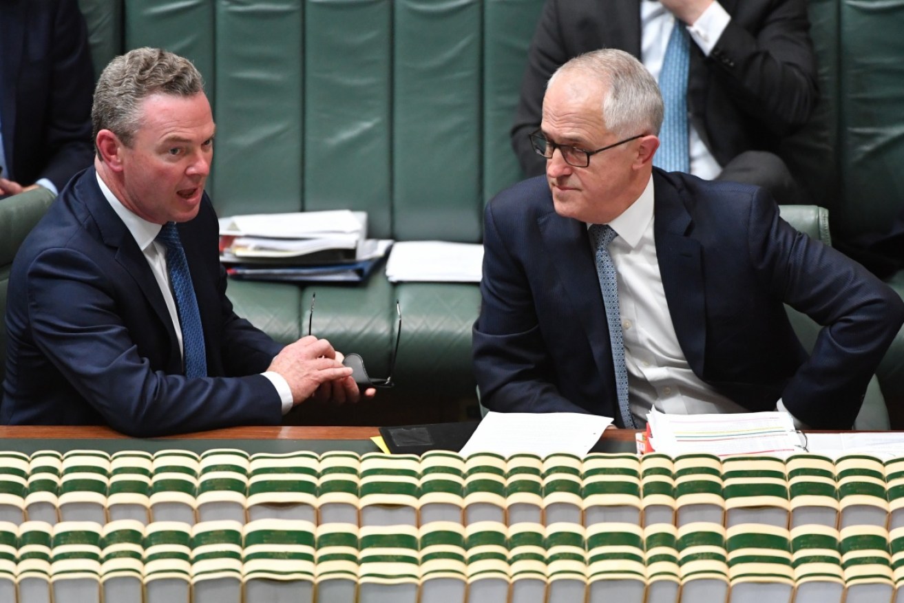 Christopher Pyne has been under pressure but Malcolm Turnbull says he has his support. 