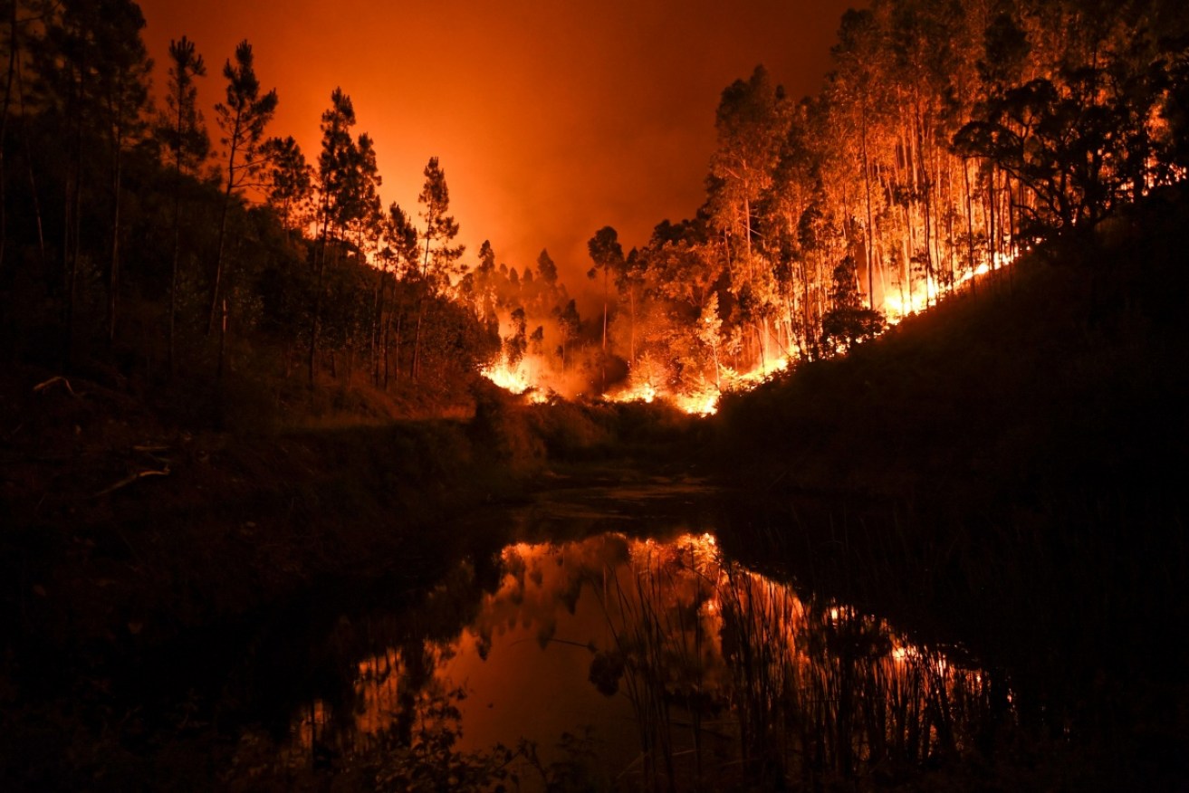 At least 61 people are dead as forest fires ravage Portugal.