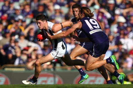 Wells, Elliott injured as Magpies hold on against Dockers in Perth