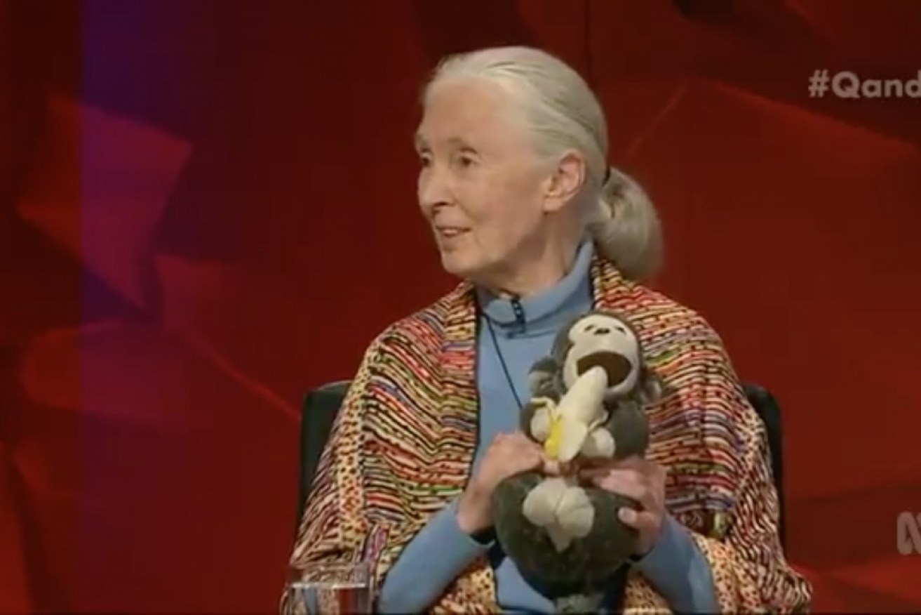 Primatologist Jane Goodall delivered inspirational hope for our planet's future on Monday's Q&A.