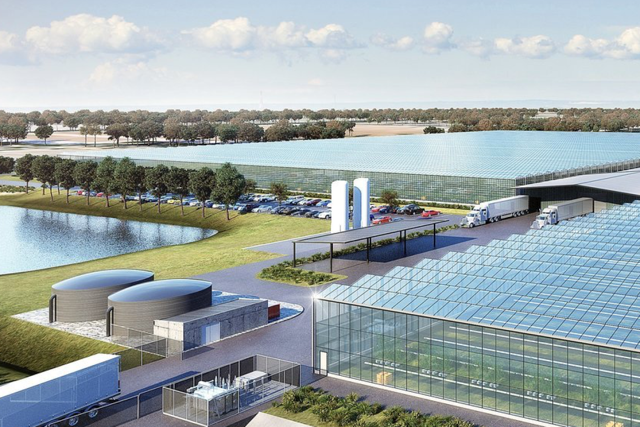 An artist's impression of a huge hydroponic vegetable facility being built in western Victoria. 