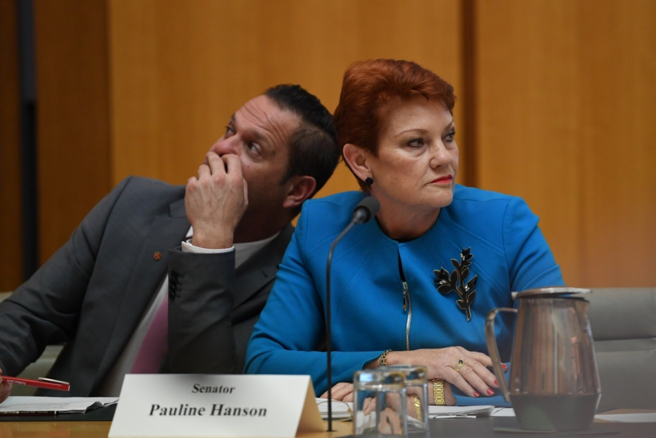 One Nation senators Peter Georgiou and Pauline Hanson during a Senate Estimates hearing.