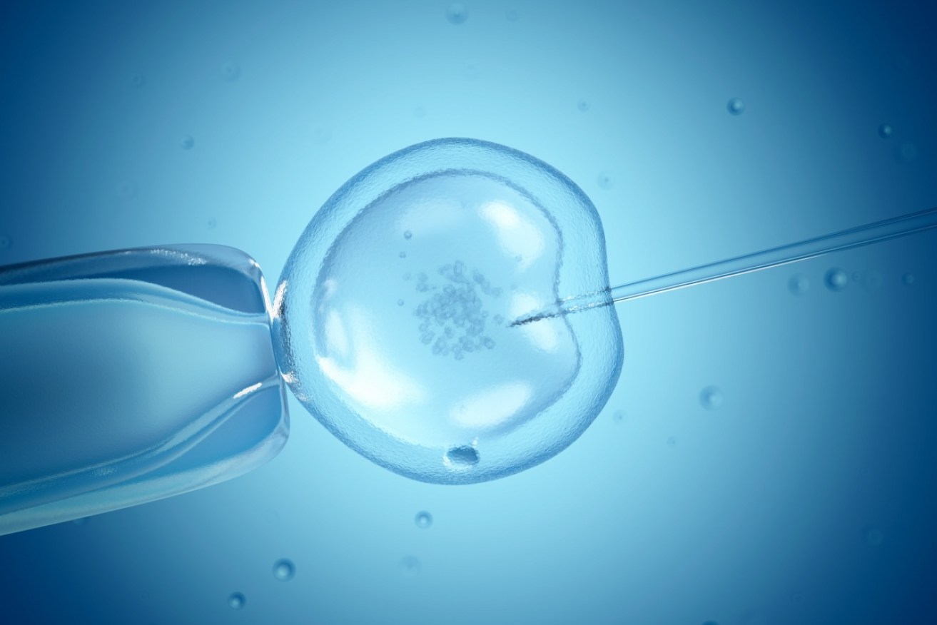 Acting Victorian Health Minister James Merlino says prospective parents will be able to resume IVF.