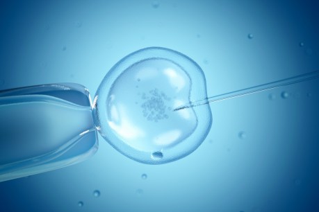 Victorian IVF services resume after virus pause