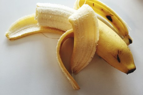 Queensland bananas with boosted vitamin A to save African lives