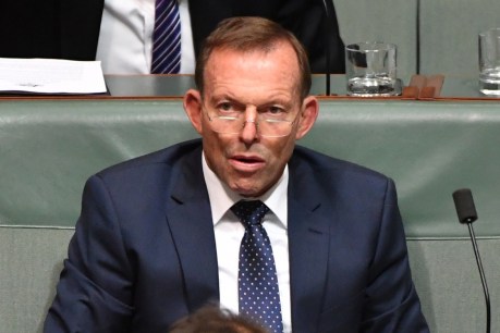 Time&#8217;s up, Tony: Abbott should shut up or quit, says new poll