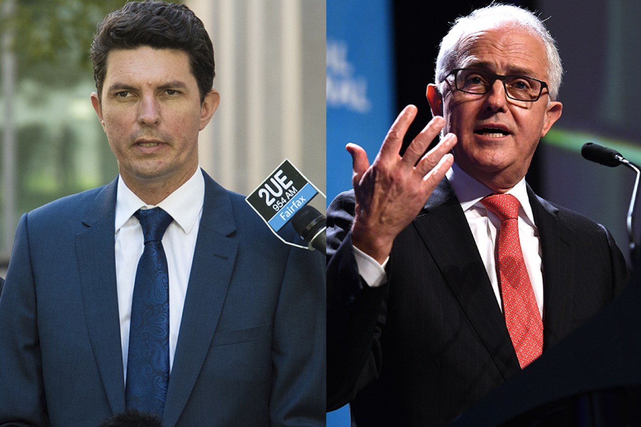 Malcolm Turnbull (right) didn't rule out the possibility Scott Ludlam (left) will have to pay back his salary.