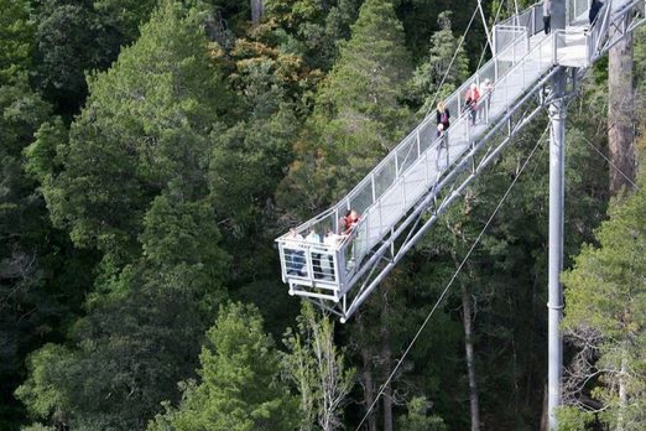 The body was found in thick bush near the spectacular Tahune Airwalk.