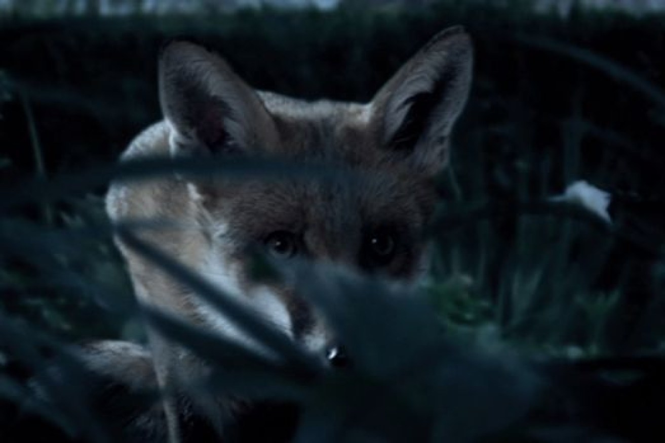 ISA's submission marks an escalation of its TV ad campaign likening bank-owned funds to foxes circling a hen house.