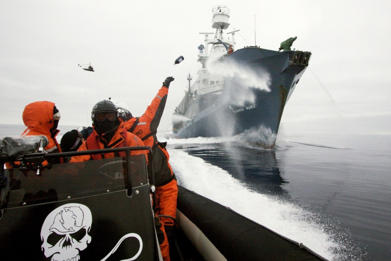 Sea Shepherd says it can no longer compete with Japanese whalers.