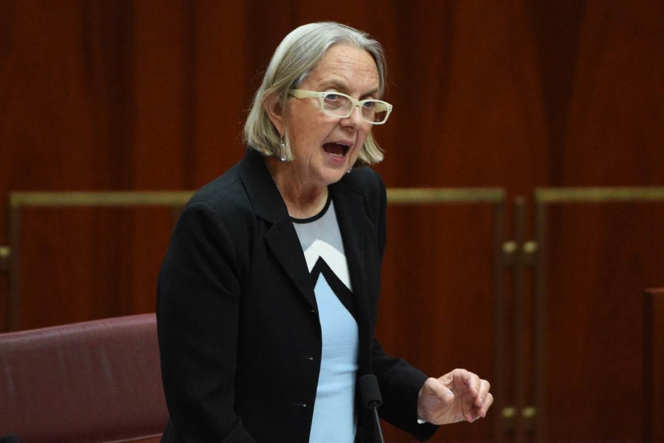 Greens senator Lee Rhiannon attacked Richard Di Natale leadership. Now she is has lost the Senate ticket's top spot.