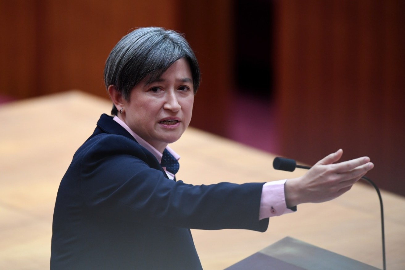 Labor's Penny Wong gave an emotional speech against the gay marriage plebiscite. 