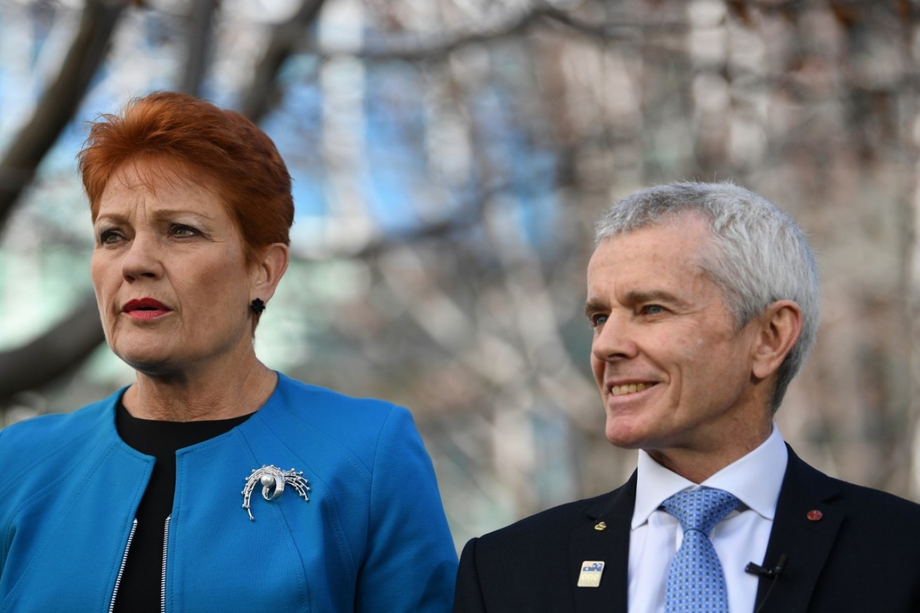 Pauline Hanson wanted Malcolm Roberts to remain in the Senate. Photo: AAP 