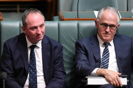 Labor asked NZ PM to raise Barnaby Joyce citizenship issue