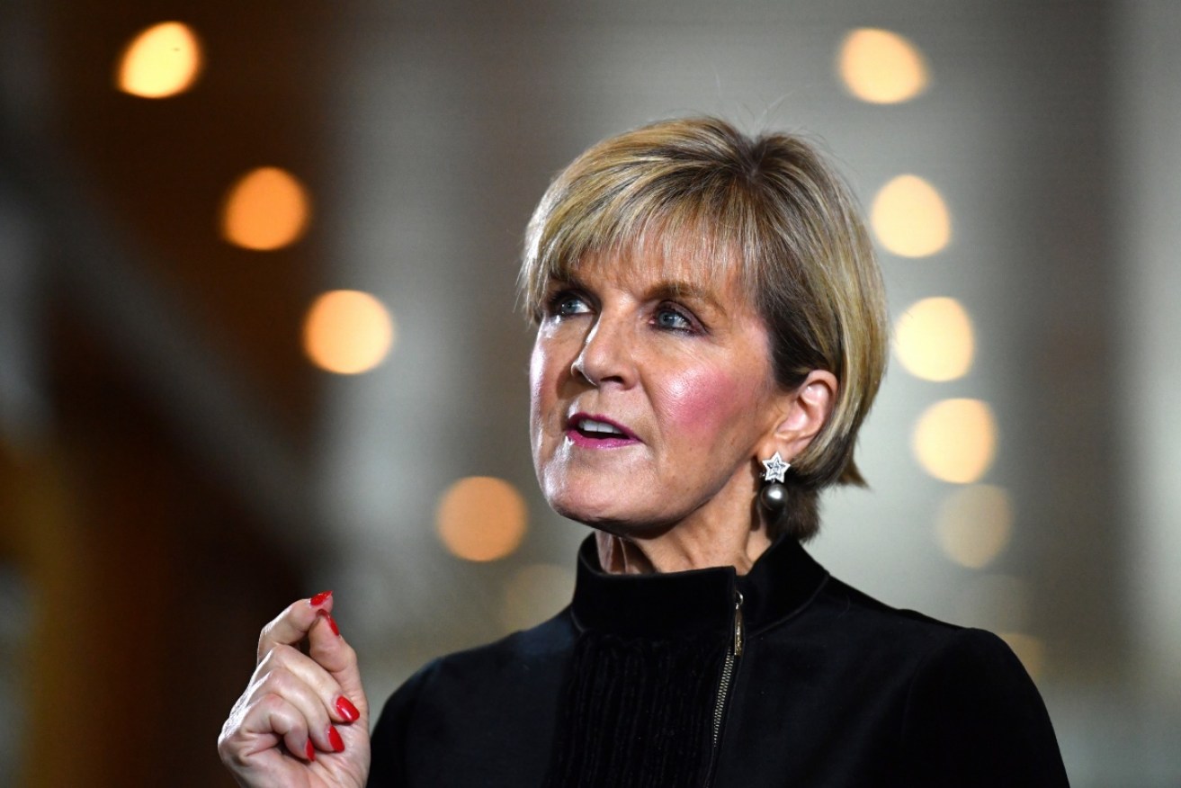 Juile Bishop said the resolution did not conflict with the government's position. Photo: AAP