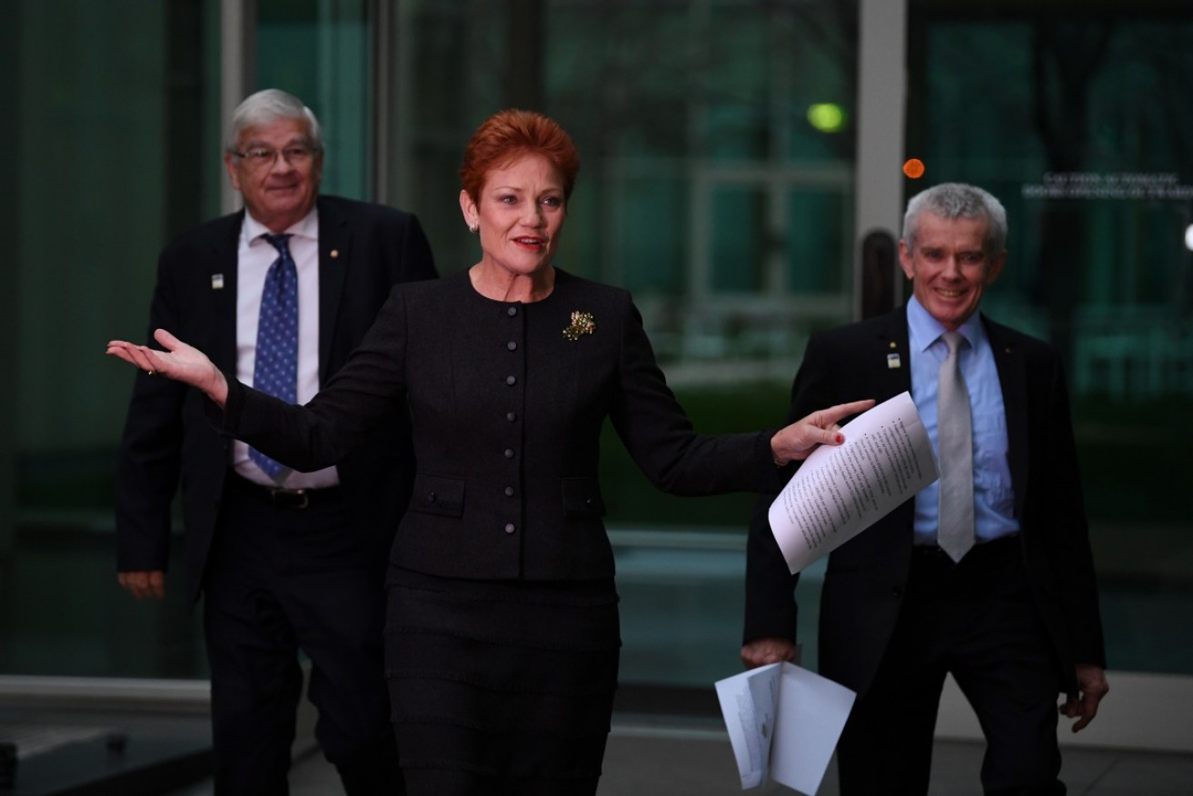 Pauline Hanson has struck a deal with the government over media ownership laws. 