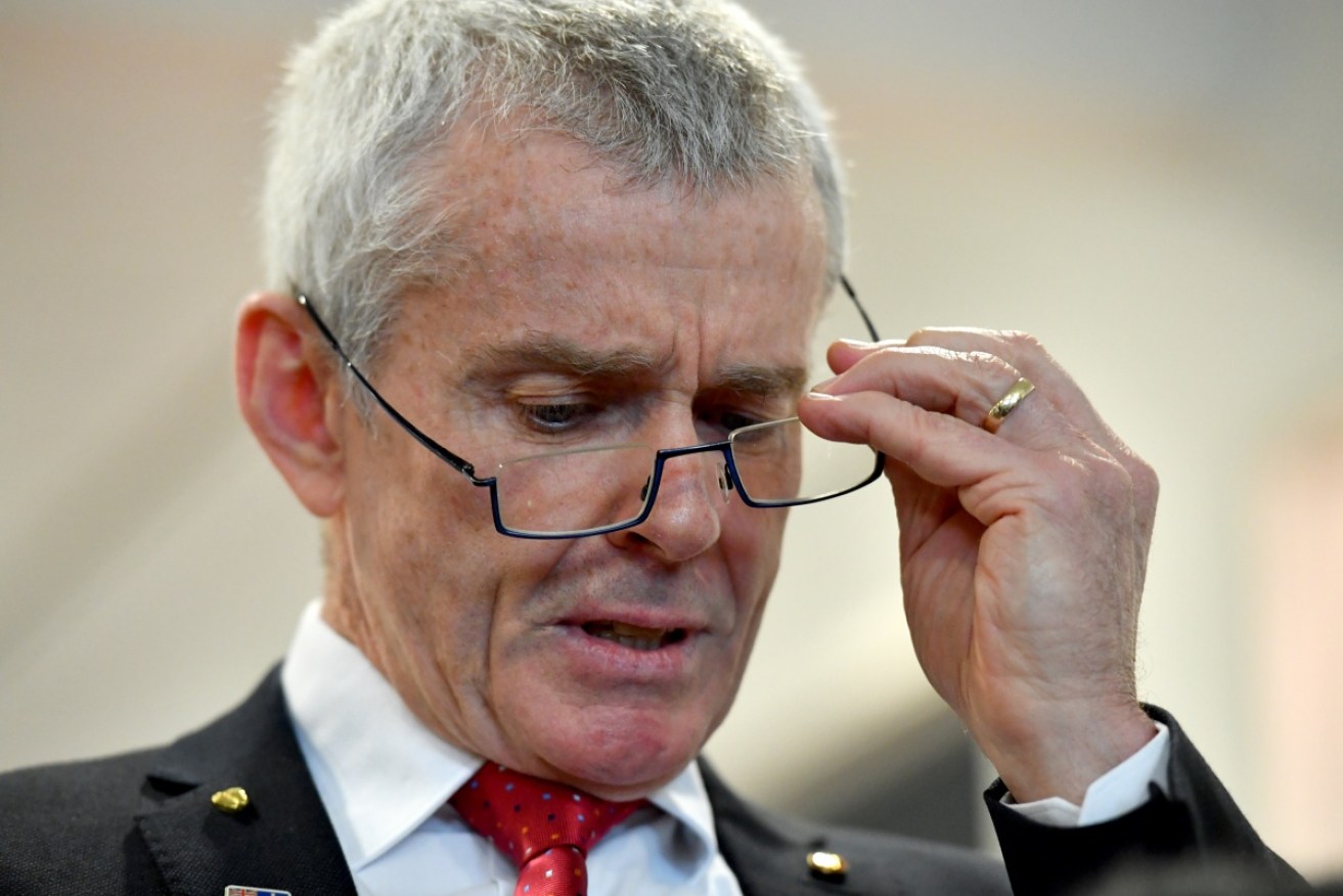 One Nation Senator Malcolm Roberts said he officially renounced his British citizenship after his nomination.