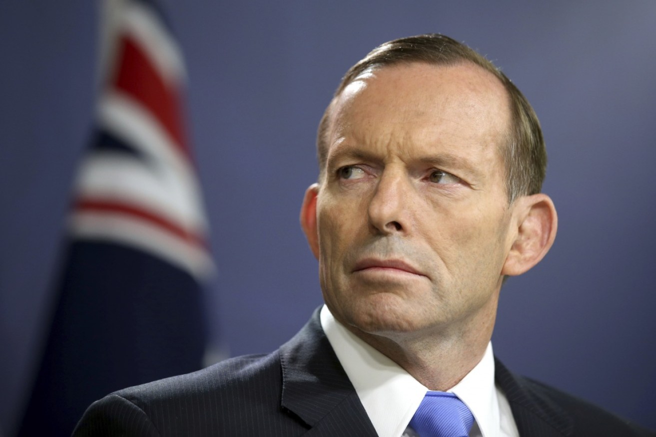 Tony Abbott stopped short of backing an audit of all members of parliament.