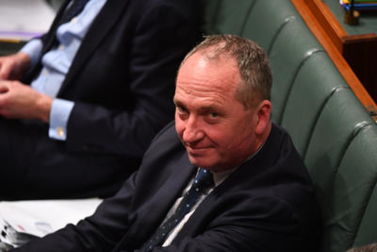 Deputy Barnaby Joyce's vote in the house was the crucial one. Photo: AAP
