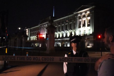 'Allahu akbar' swordsman attacks Palace police