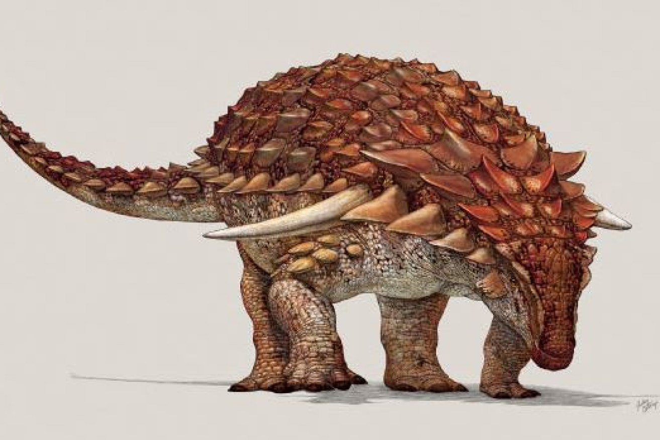 The fossil was so complete, paleontologists were even able to determine the reddish colour of its spikes and camouflage.